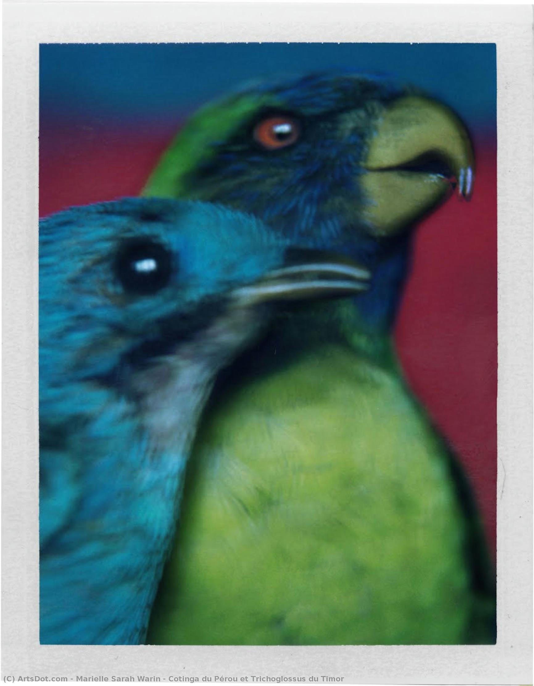 Cotinga Du Pérou Et Trichoglossus Du Timor — Marielle Sarah Warin