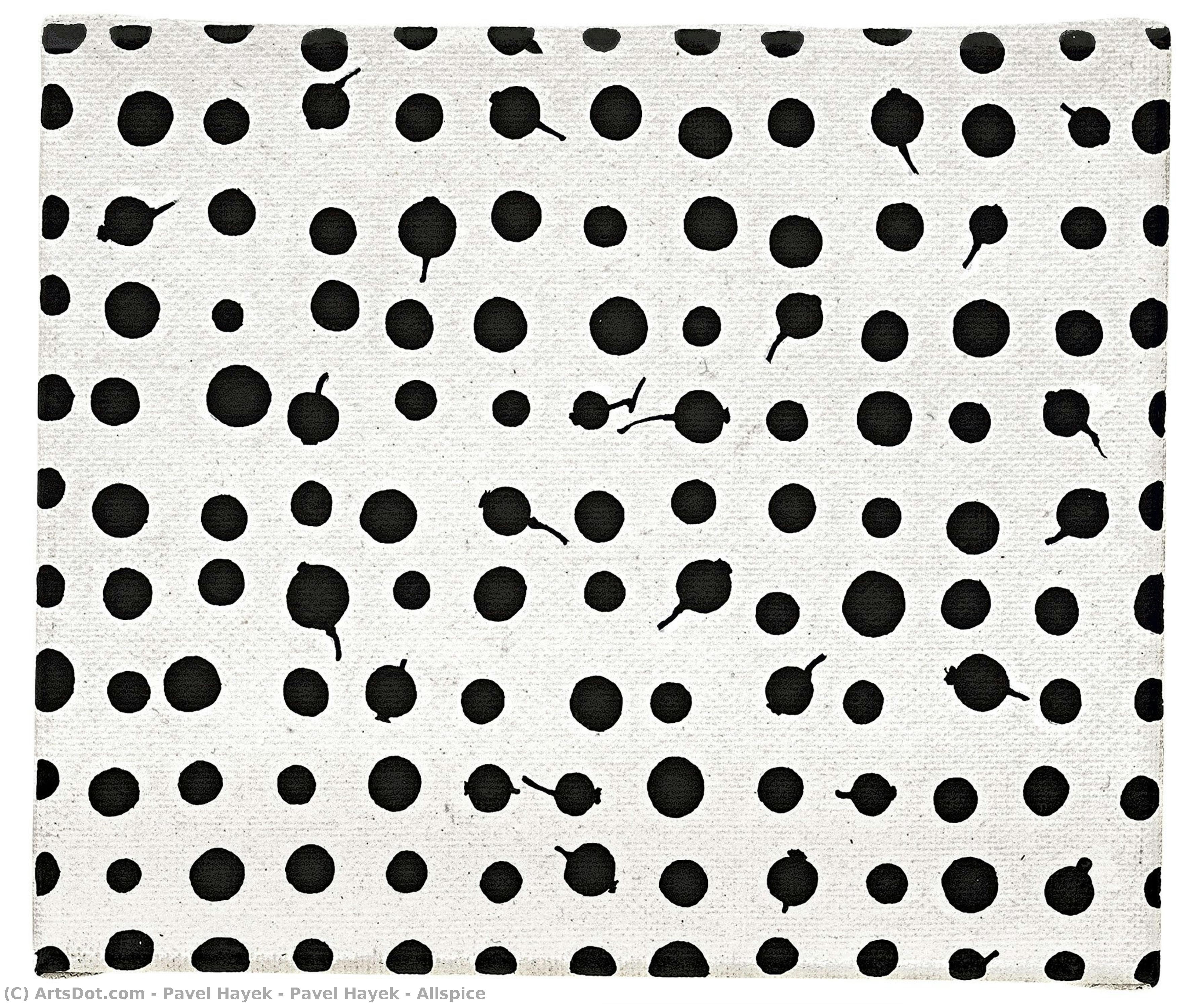 Pavel Hayek - Allspice — Pavel Hayek