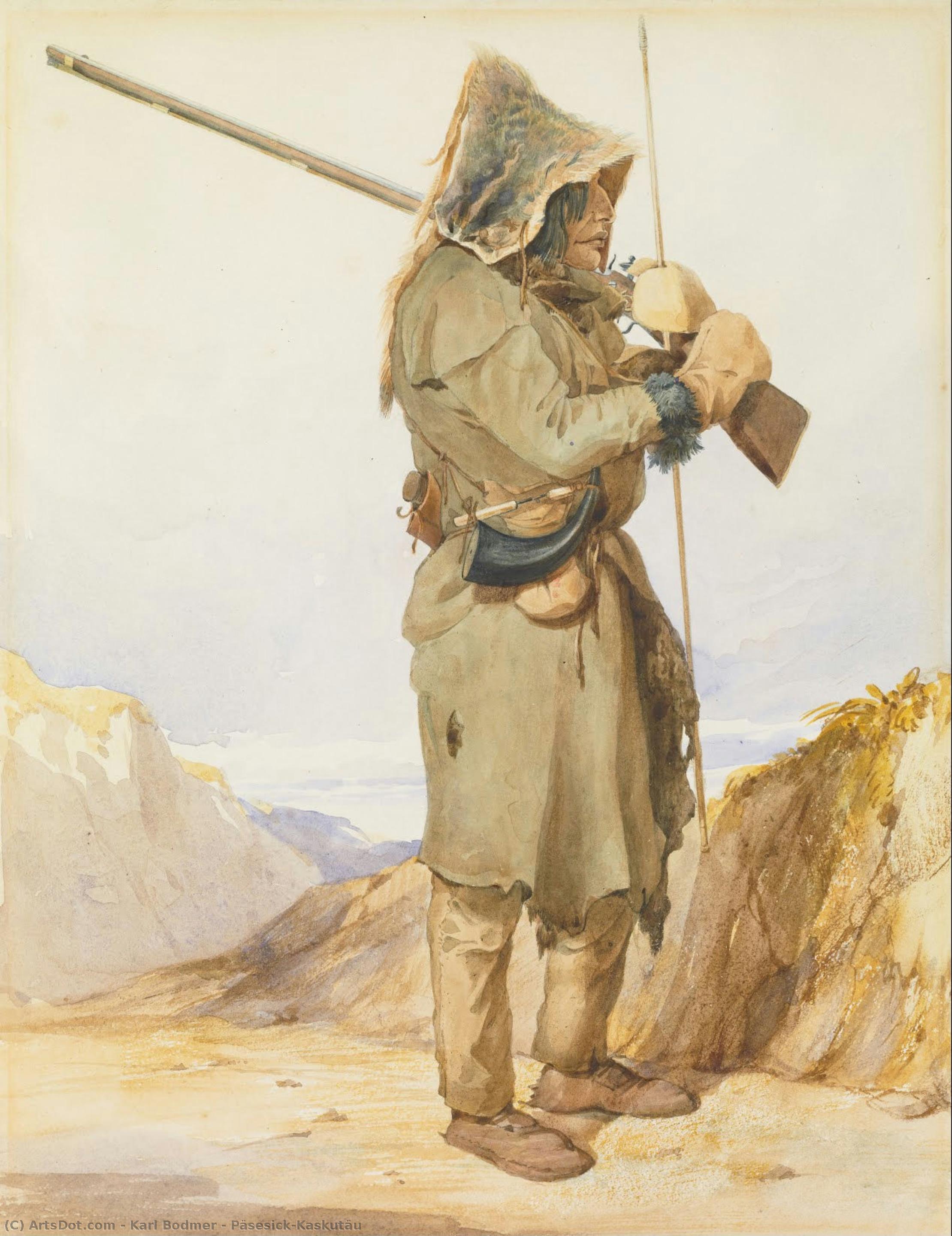 Päsesick-kaskutäu — Karl Bodmer