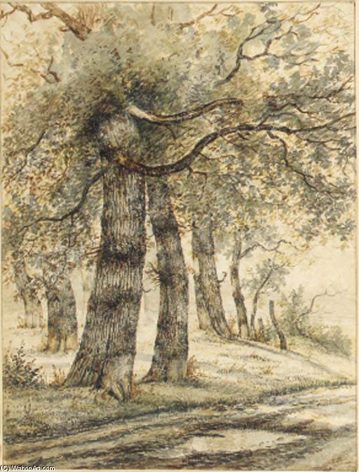 Trees In A Portrait — Wilhelmus Hendrikus Petrus Johannes Zwart