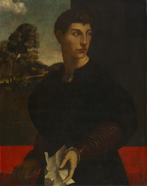 Portrait Of A Young Man — Dosso Dossi (giovanni Di Niccolò De Luteri)