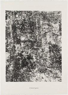 Fleeting Instants (instants Fugaces) From The Portfolio Textures From Phenomena (les Phénomènes) — Jean Philippe Arthur Dubuffet