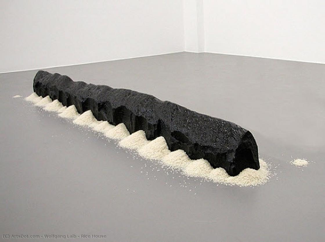 Rice House — Wolfgang Laib