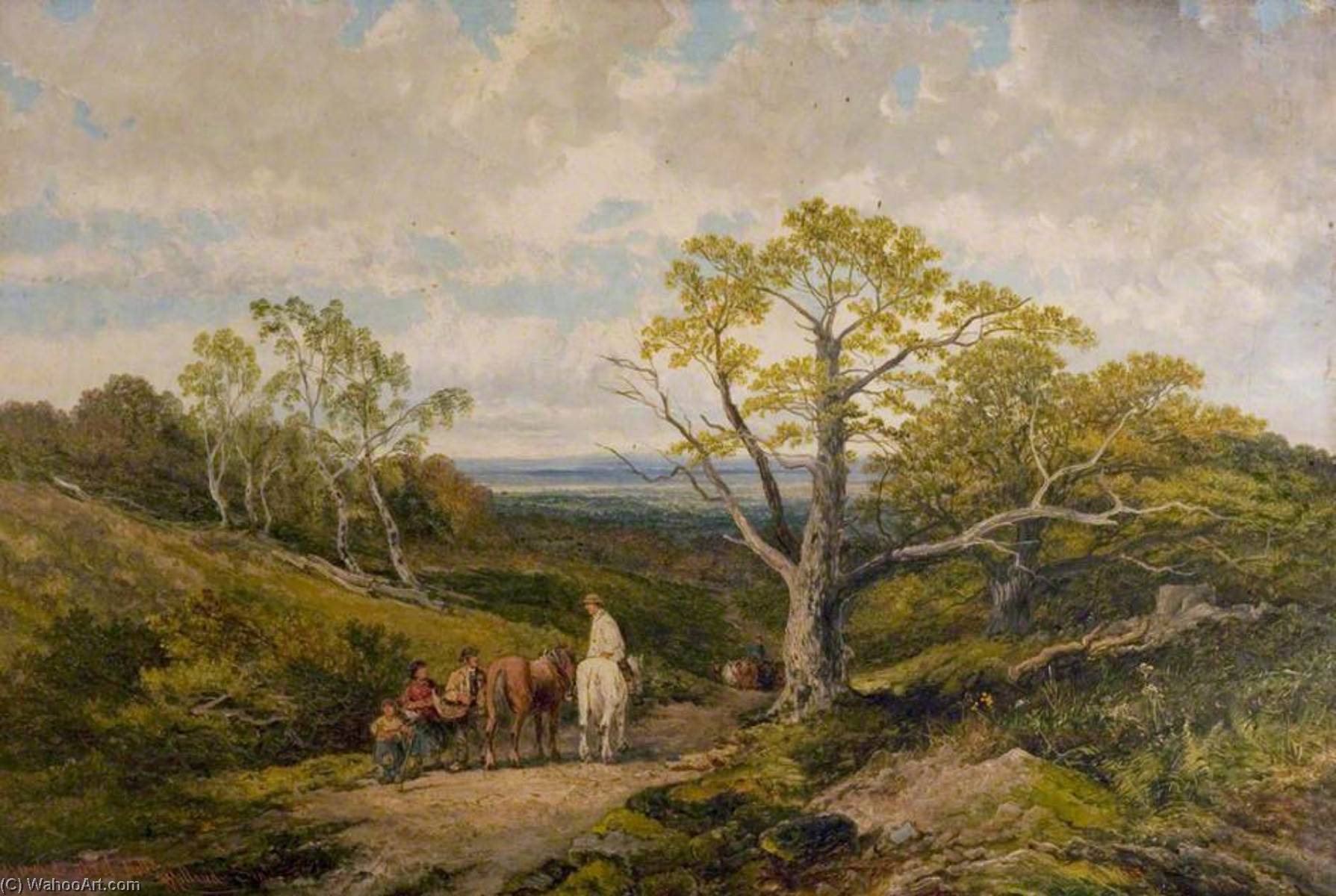 View In Sherwood Forest (sherwood Forest, Nottinghamshire) — John Holland