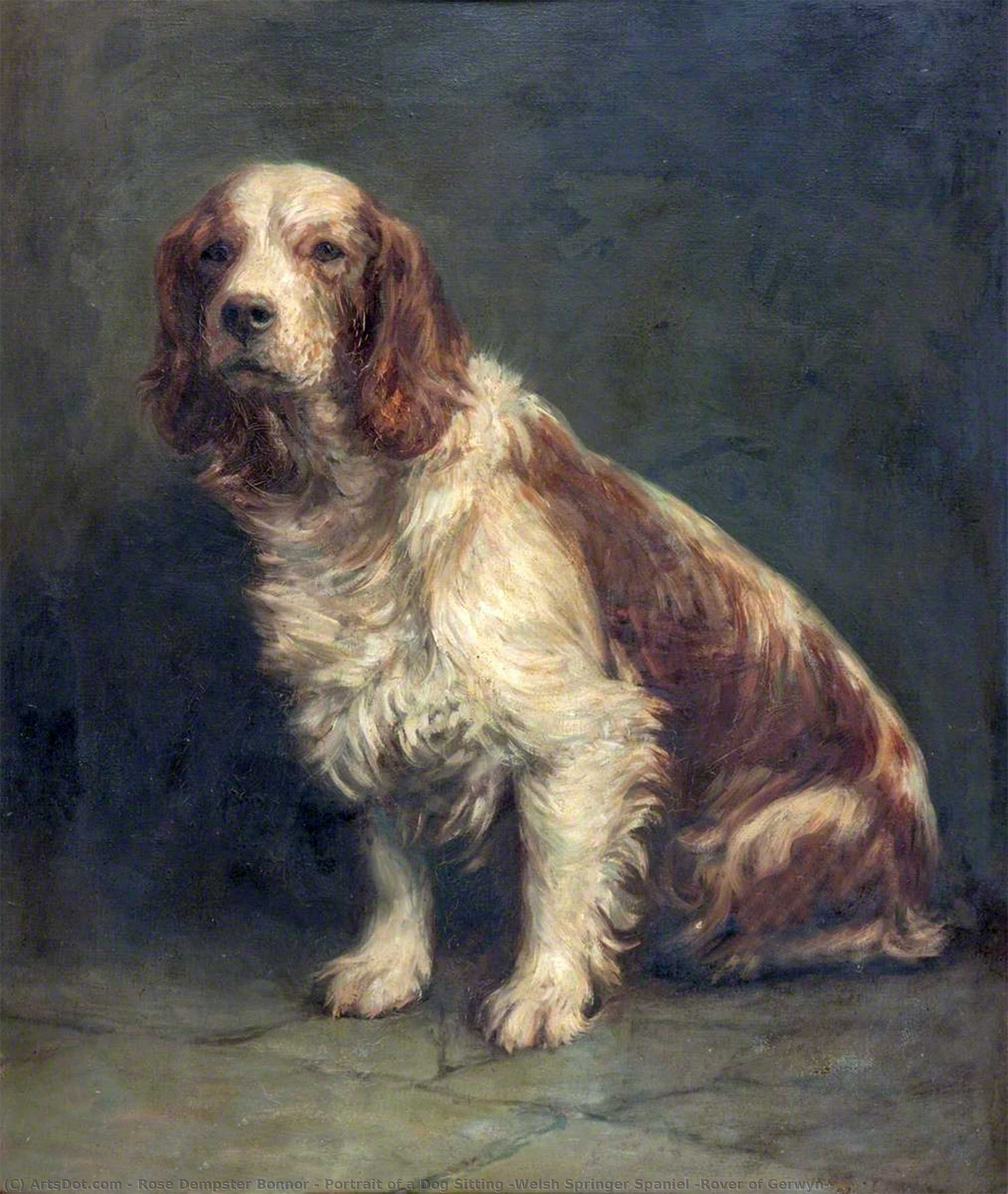 Portrait Of A Dog Sitting (welsh Springer Spaniel 'rover Of Gerwyn') — Rose Dempster Bonnor