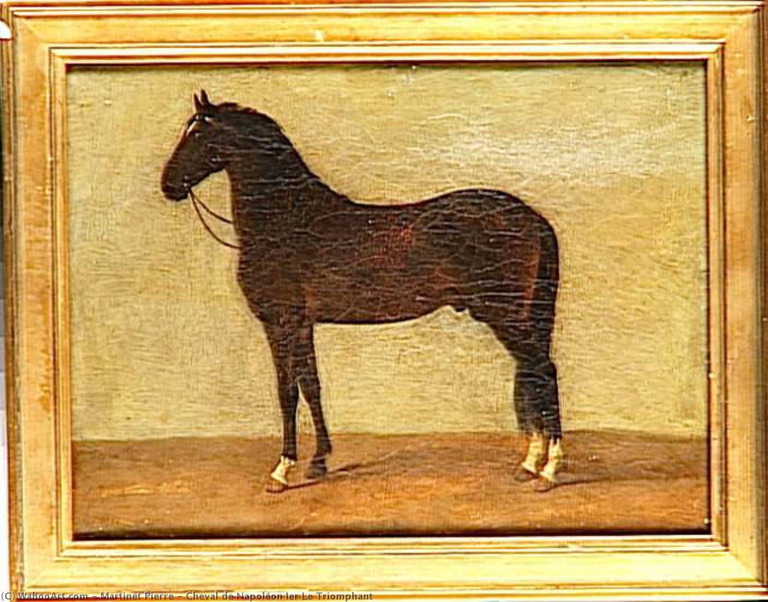 Cheval De Napoléon Ier Le Triomphant — Martinet Pierre