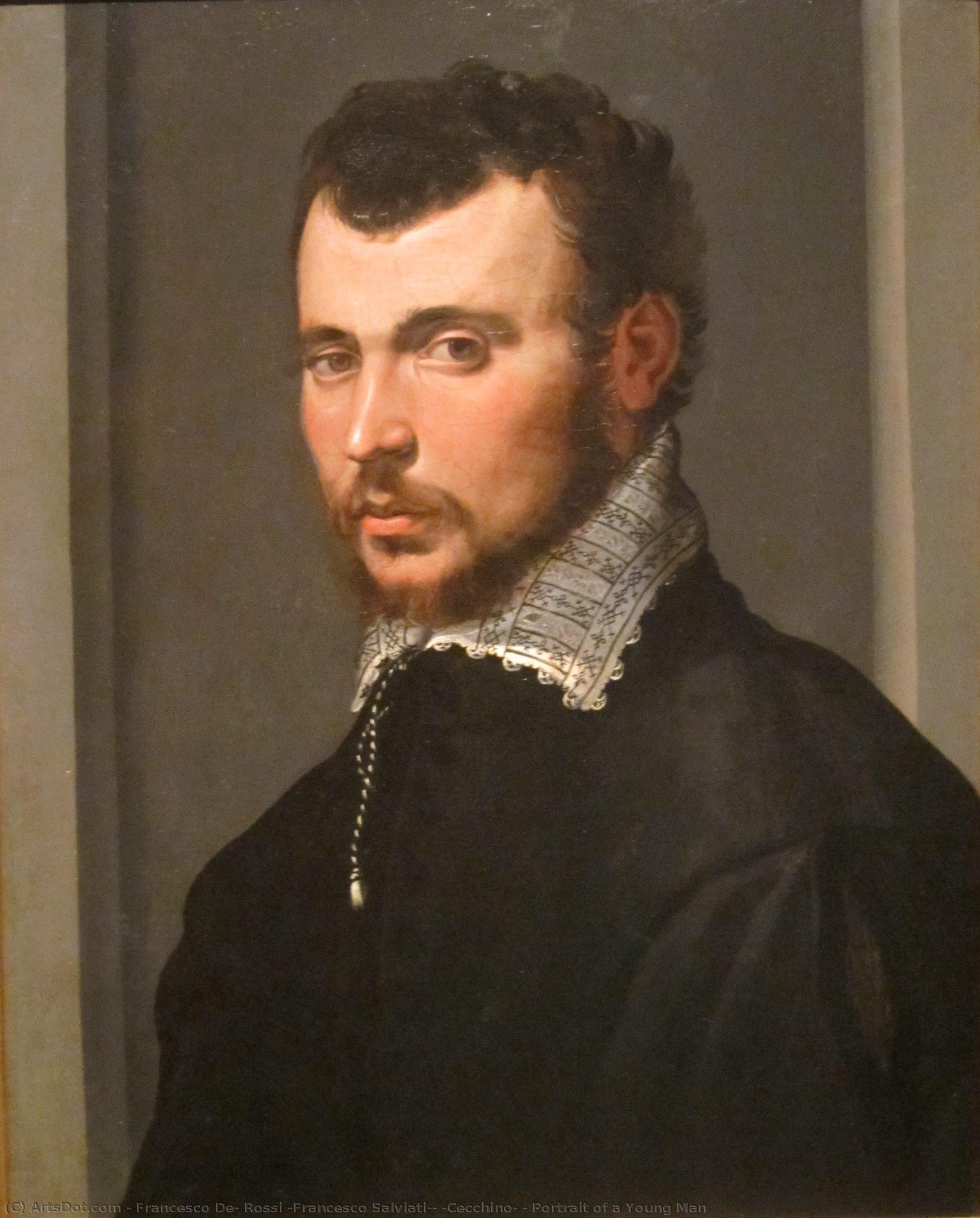Portrait Of A Young Man — Francesco De Rossi (francesco Salviati) (cecchino)