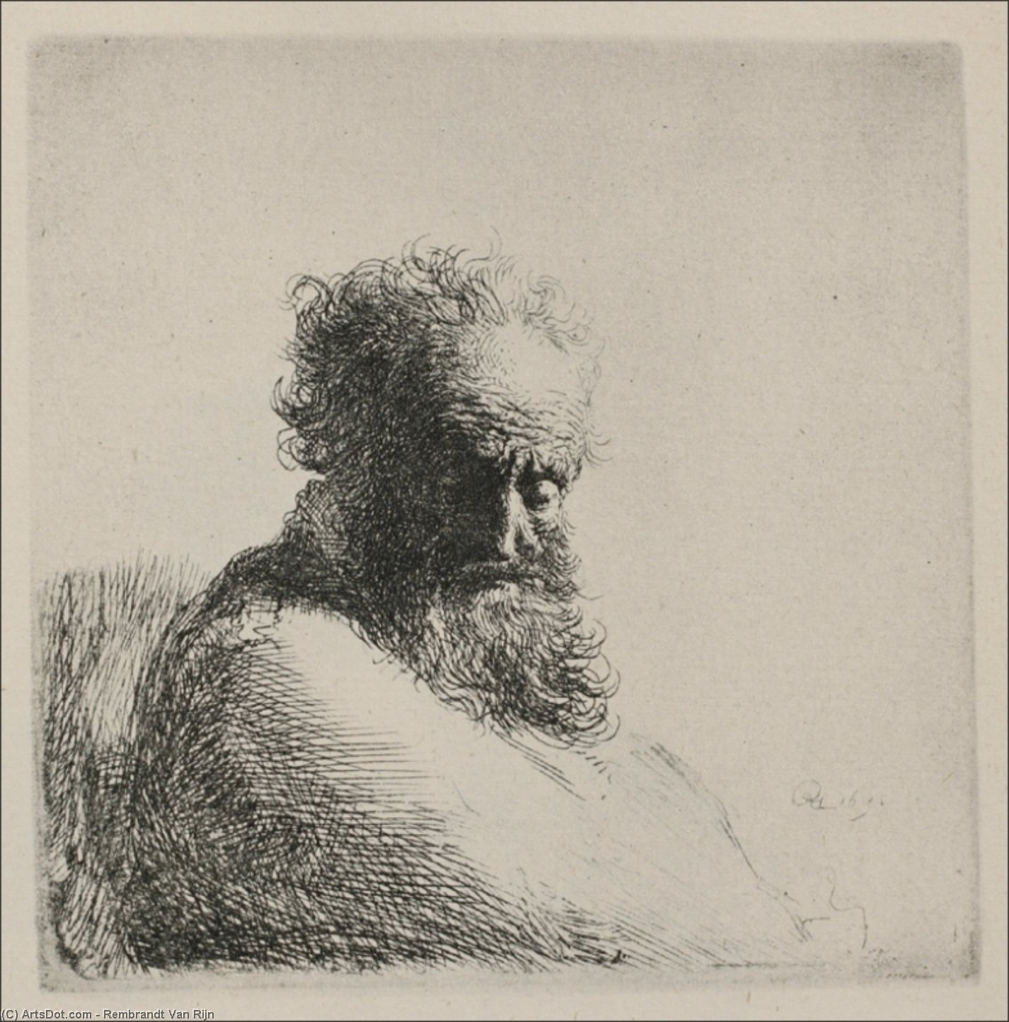 Bust Of An Old Man With A Large Beard — Rembrandt Van Rijn