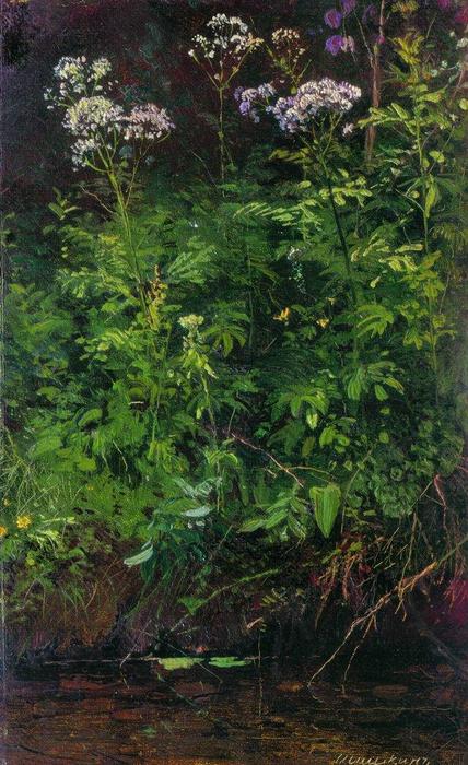 Wildflowers Near The Water — Ivan Ivanovich Shishkin