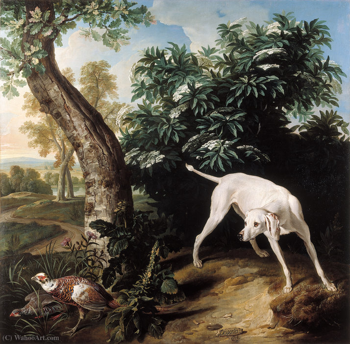 Chienne Blanche Devant Un Buisson De Sureau — Alexandre François Desportes