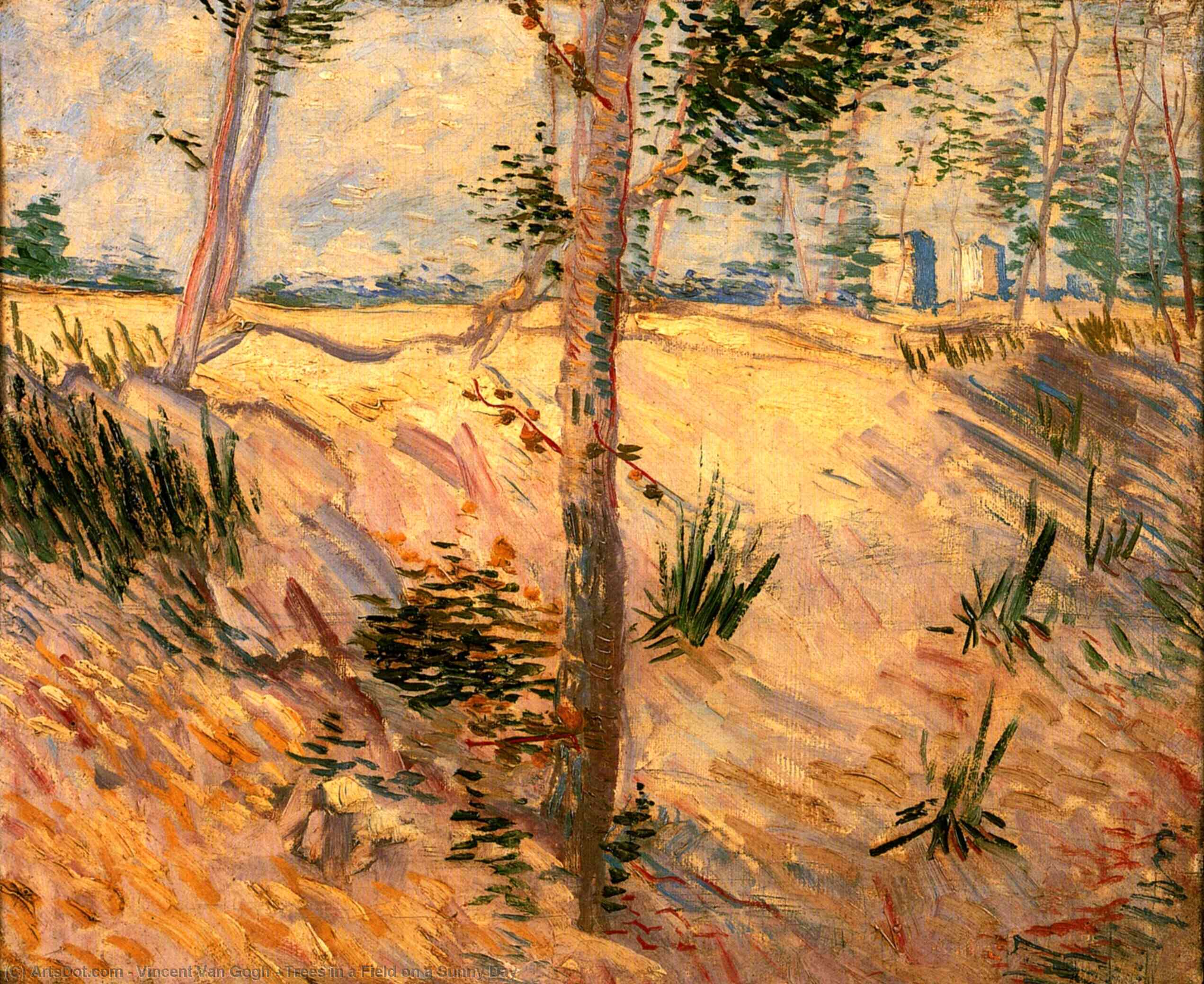 Trees In A Field On A Sunny Day — フィンセント・ファン・ゴッホ