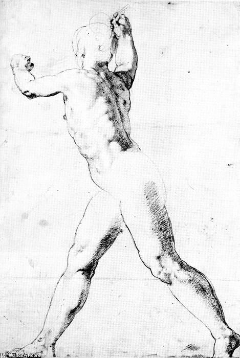 Study Of A Male Nude — Taddeo Zuccaro