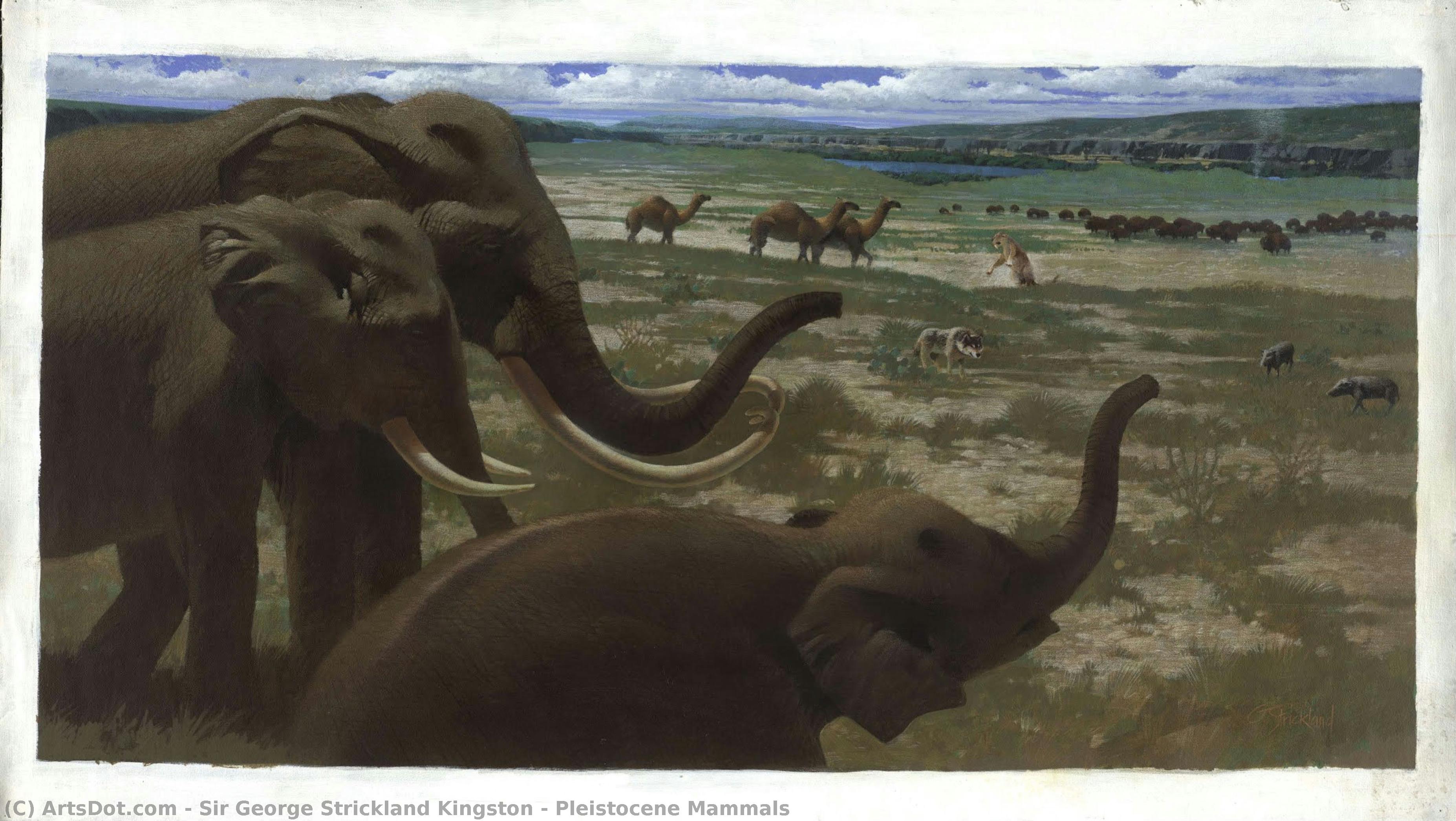 Pleistocene Mammals — George Strickland Kingston