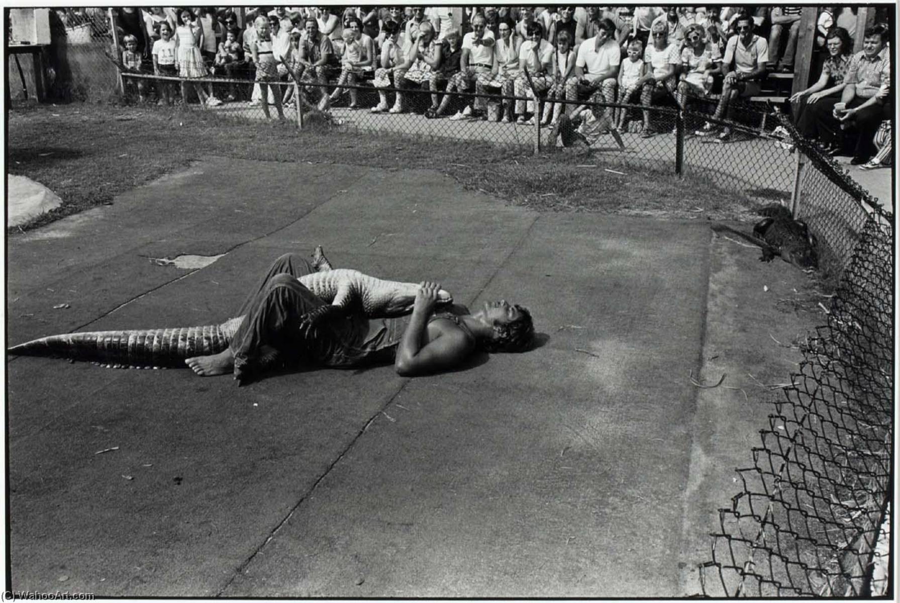 Untitled (sea Arama Marineworld, Galveston, Texas) — Paul Hester
