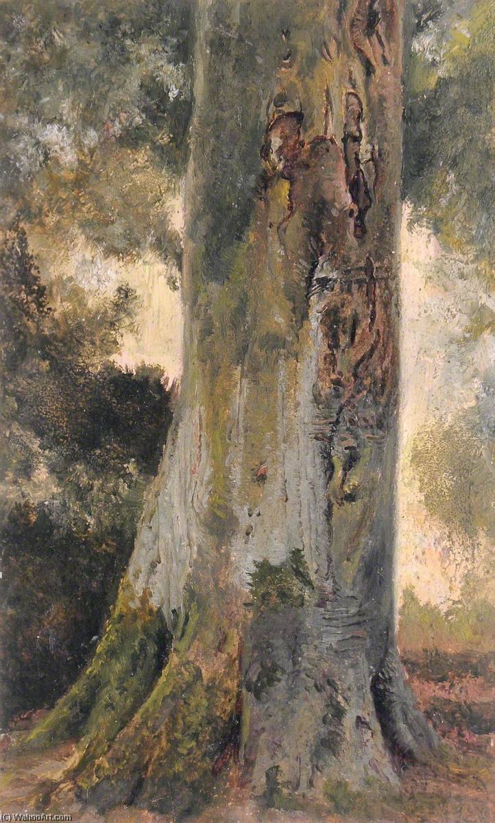 Beech, Talysarn — Friderik Vilijam Hejz