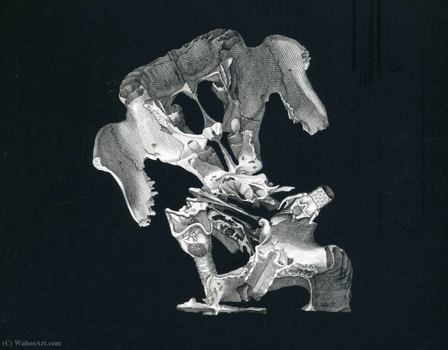 Untitled (664) — Frederick Sommer