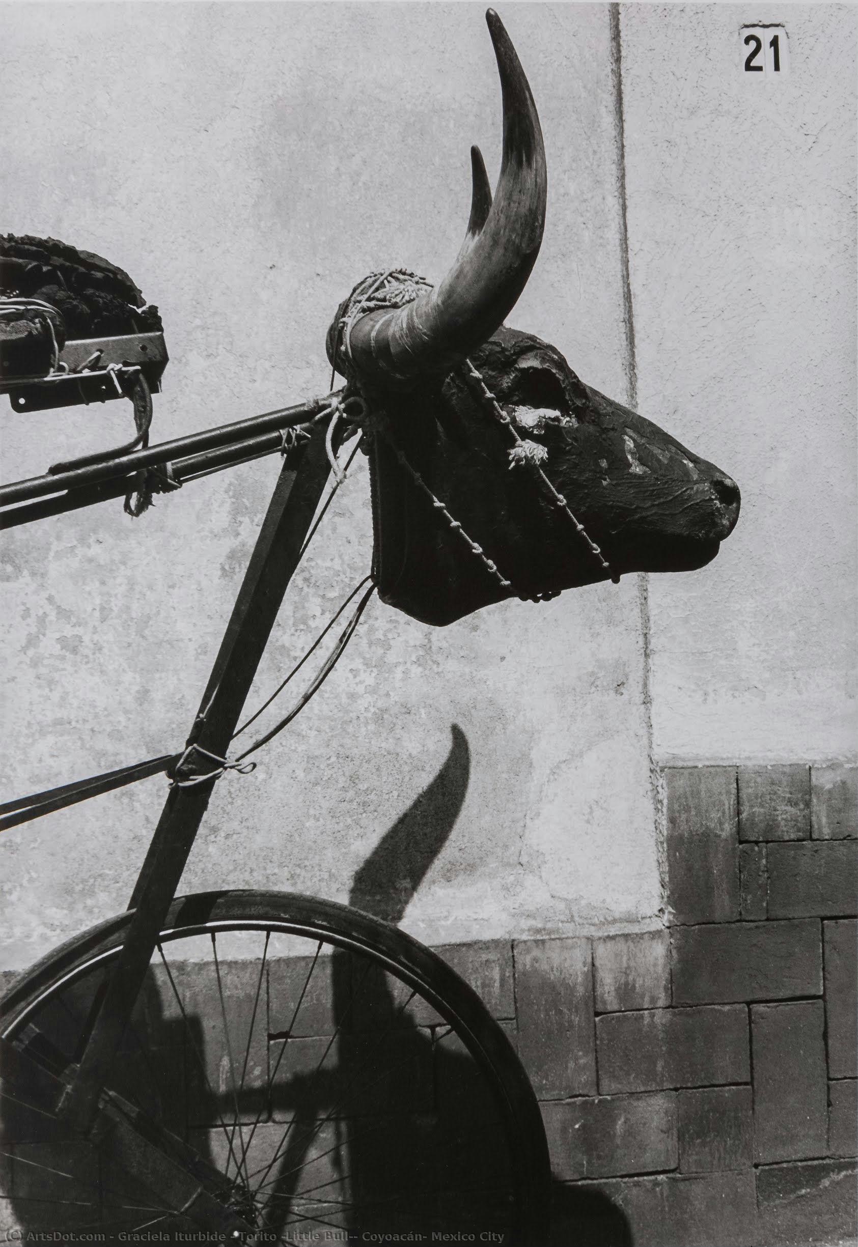 Torito (little Bull), Coyoacán, Ciudad De México — Graciela Iturbide