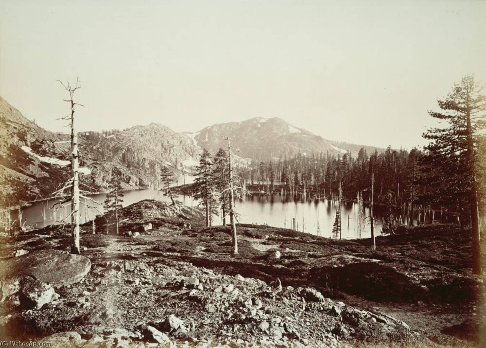 Untitled (aqtdl5) — Carleton Watkins