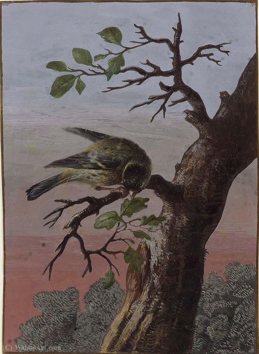 A Finch On A Branch — Barbara Regina Dietzsch