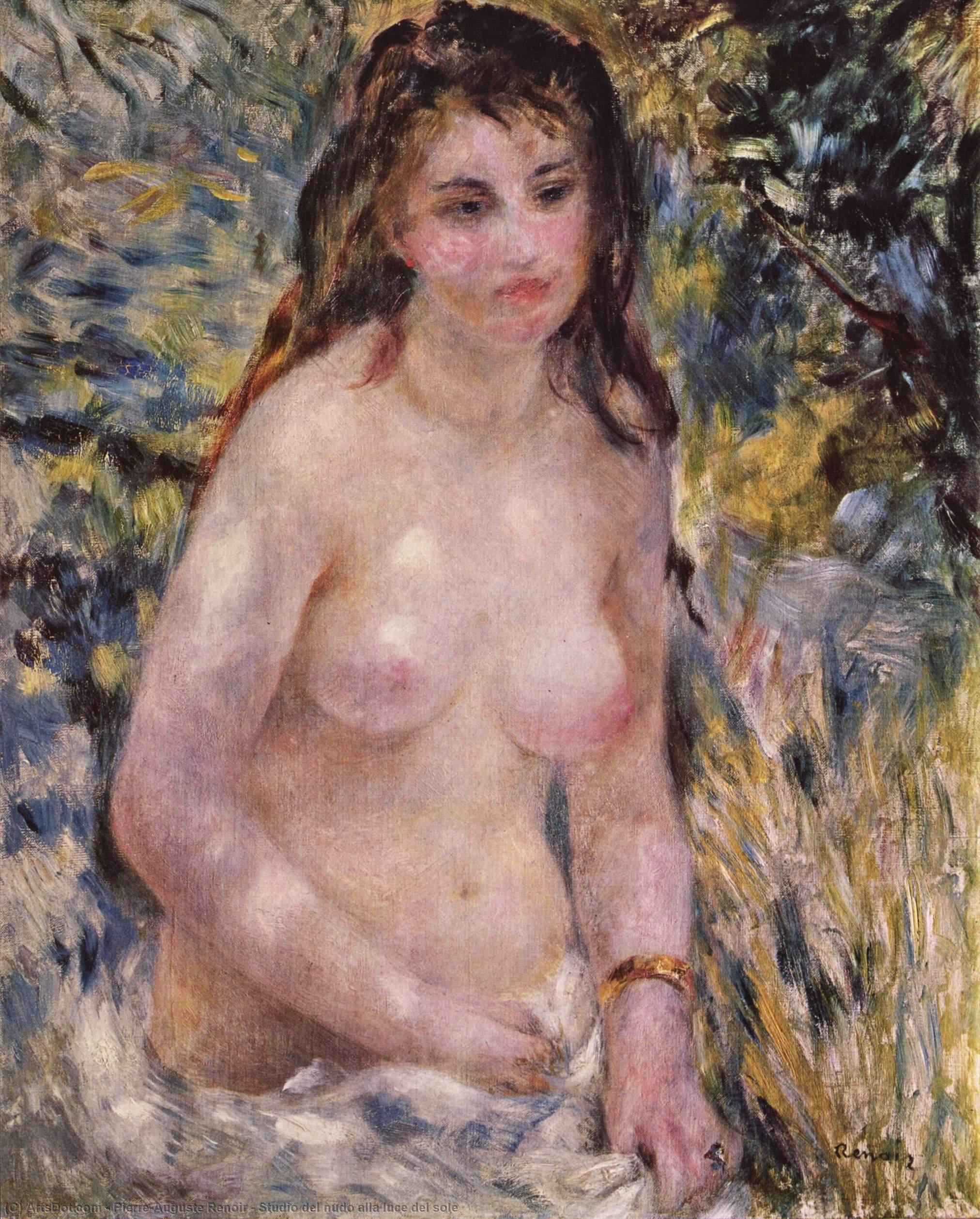 Studio Del Nudo Alla Luce Del Sole — Pjer Ogist Renoar