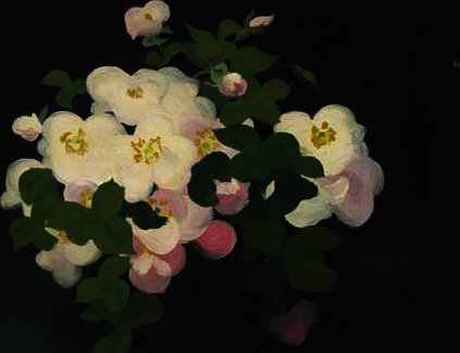 Wild Roses — James Stuart Park
