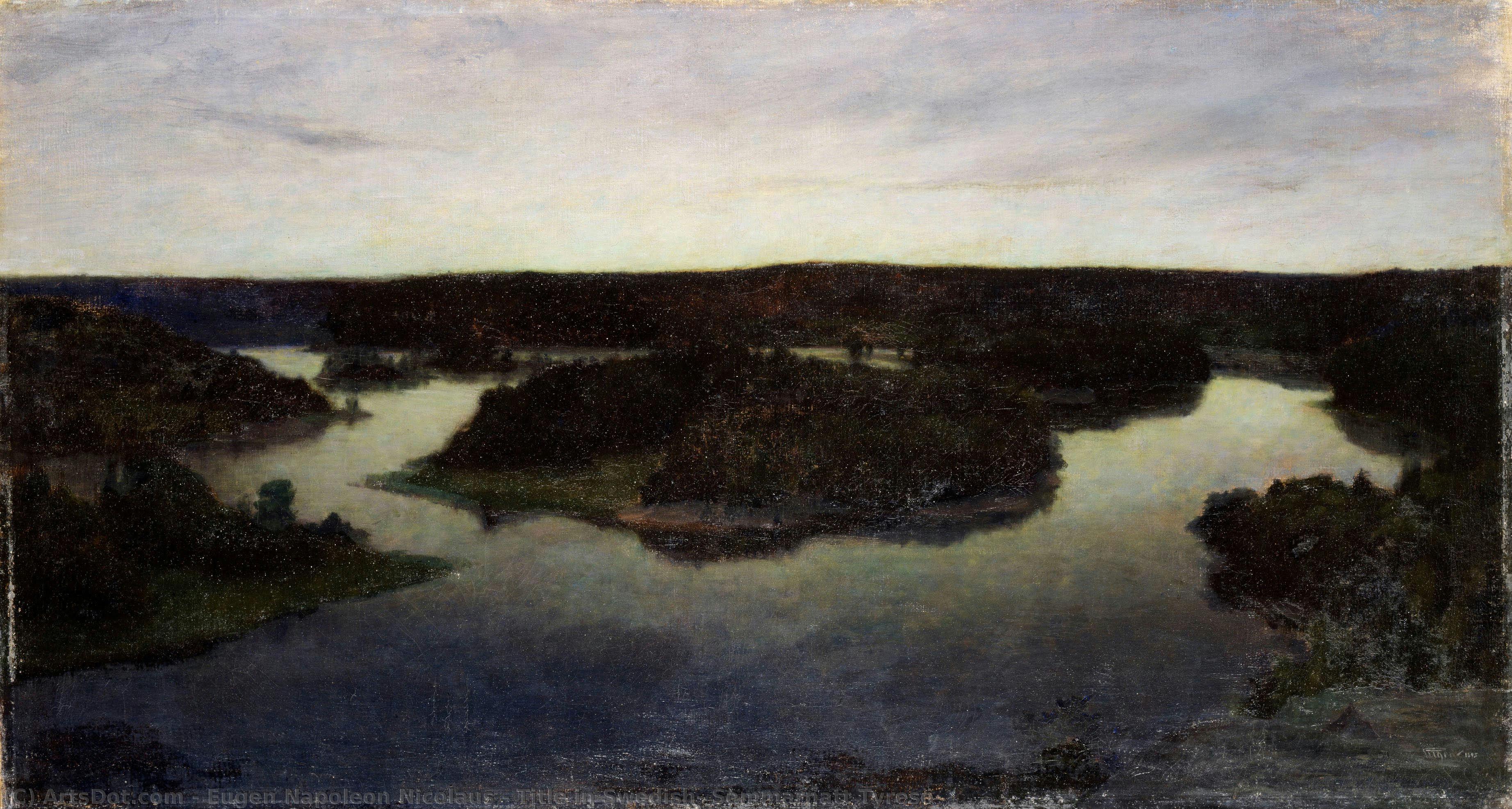 Title In Swedish: Sommarnatt Tyresö — Eugen Napoleon Nicolaus