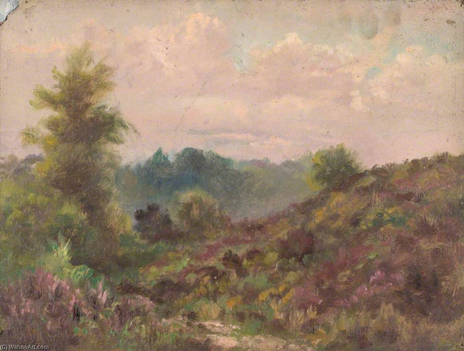 Addington Hills, Croydon, Surrey, July 1892 — William Henry Hope