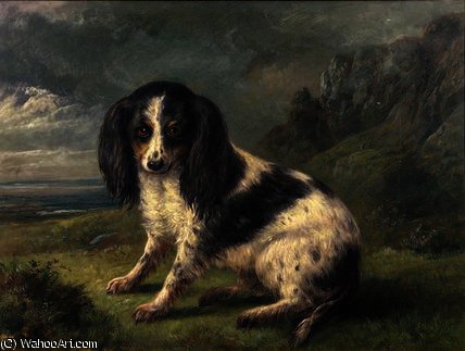 A King Charles Spaniel — Ellis William Roberts