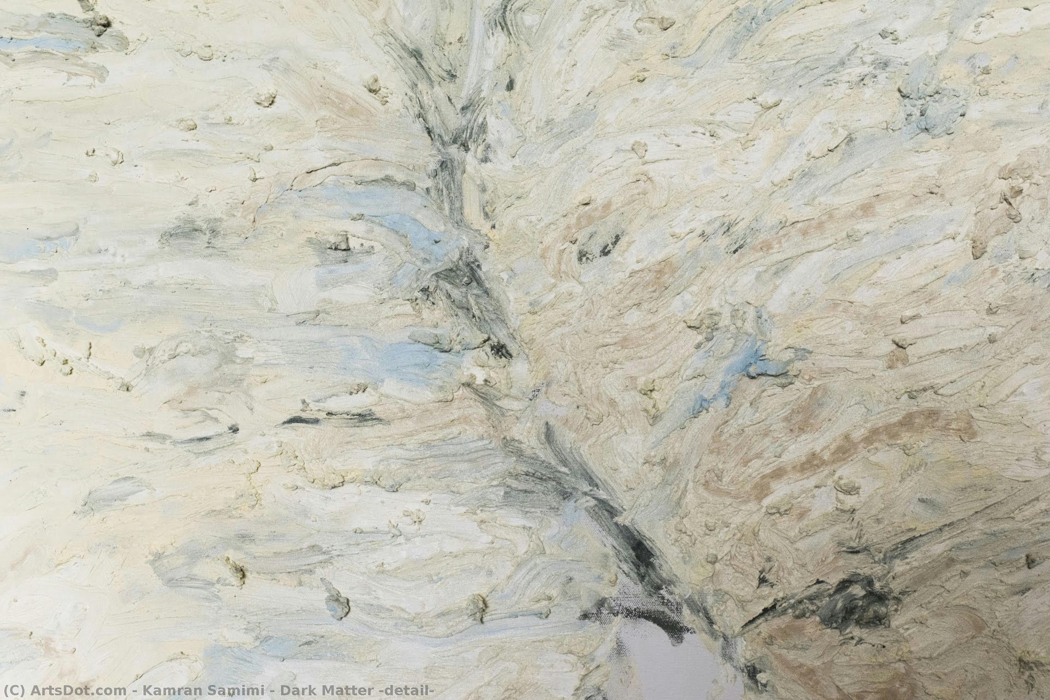 Dark Matter (detail) — Kamran Samimi