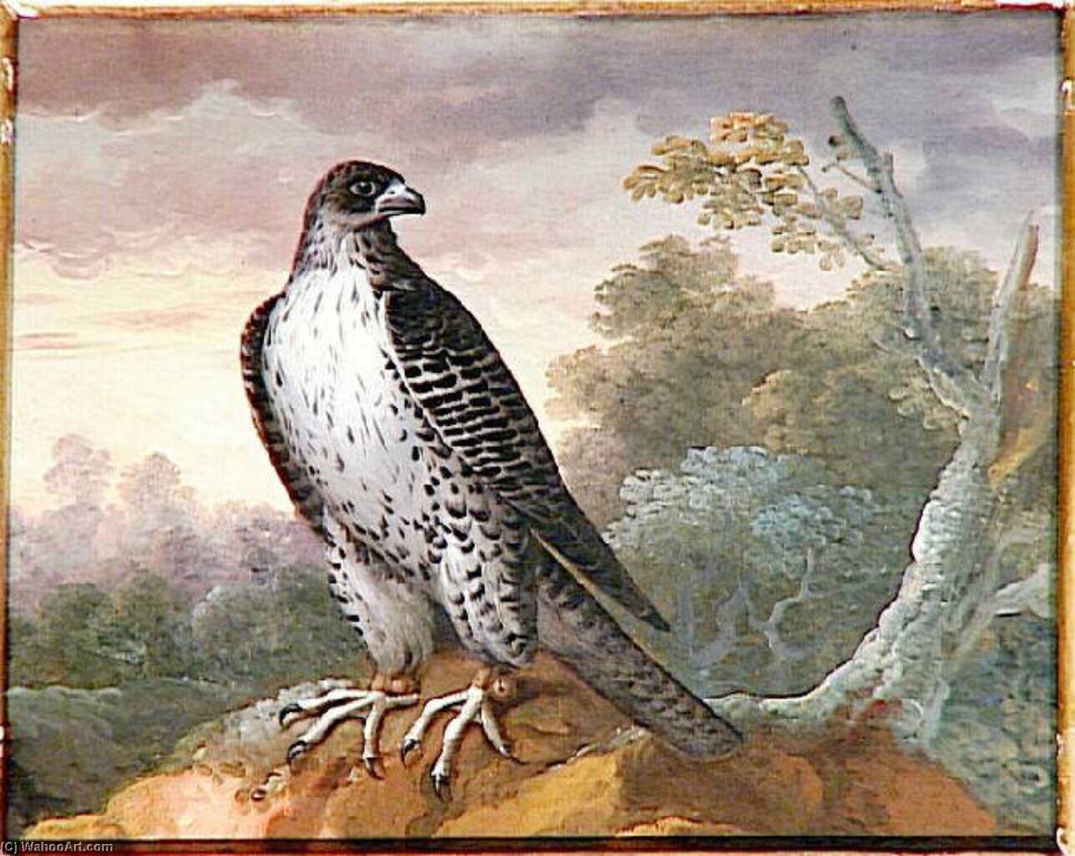 Faucon Dans Un Paysage Ayant Un Grelot À Chaque Patte — Nicasius Bernaerts