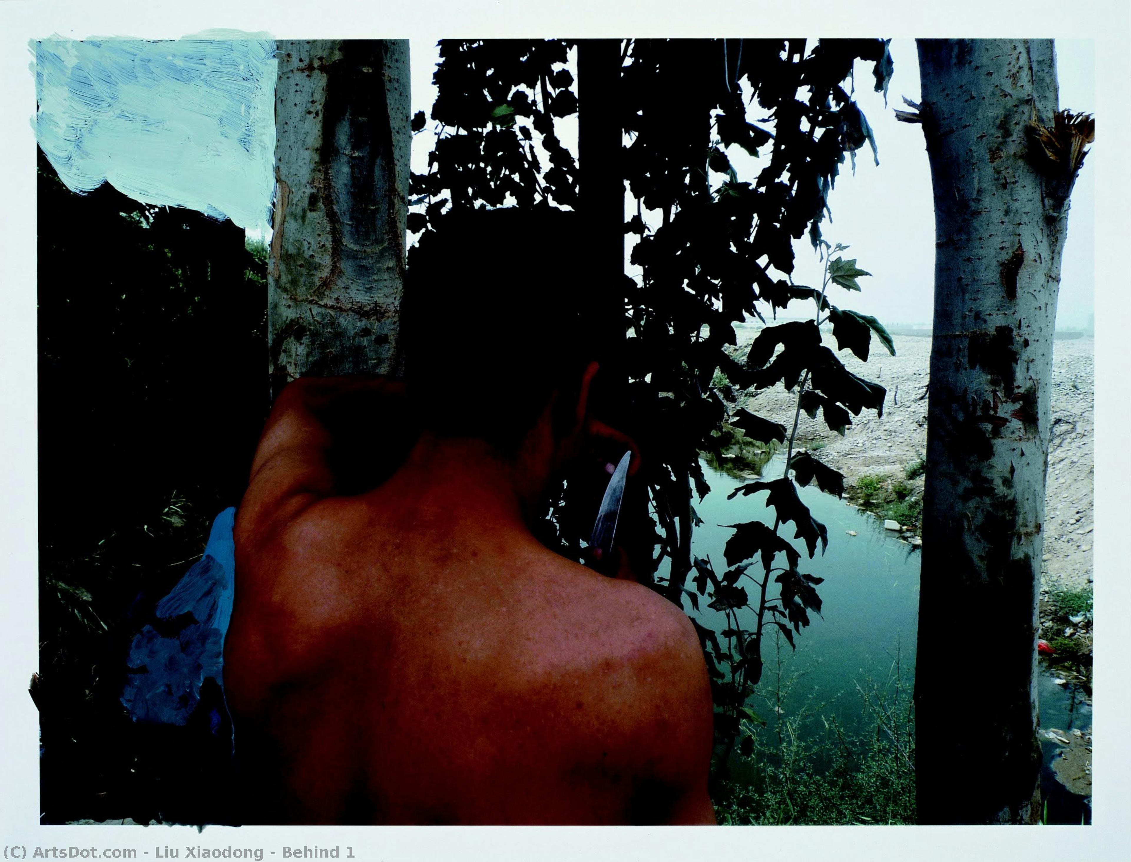 Behind 1 — Liu Xiaodong