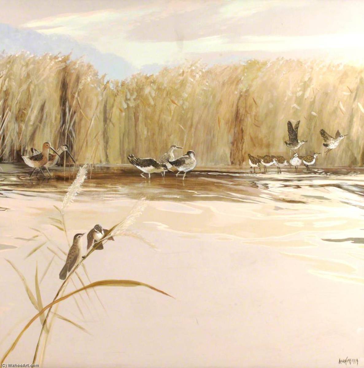 Wading Birds — Anne Toms