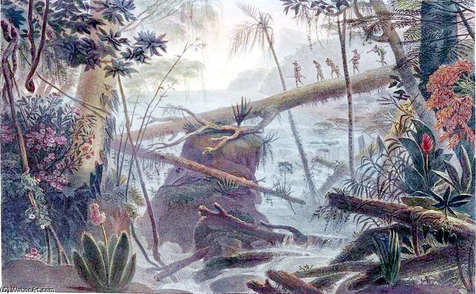 Jungle In The Paraíba Do Sul River Margins — Jean-baptiste Debret