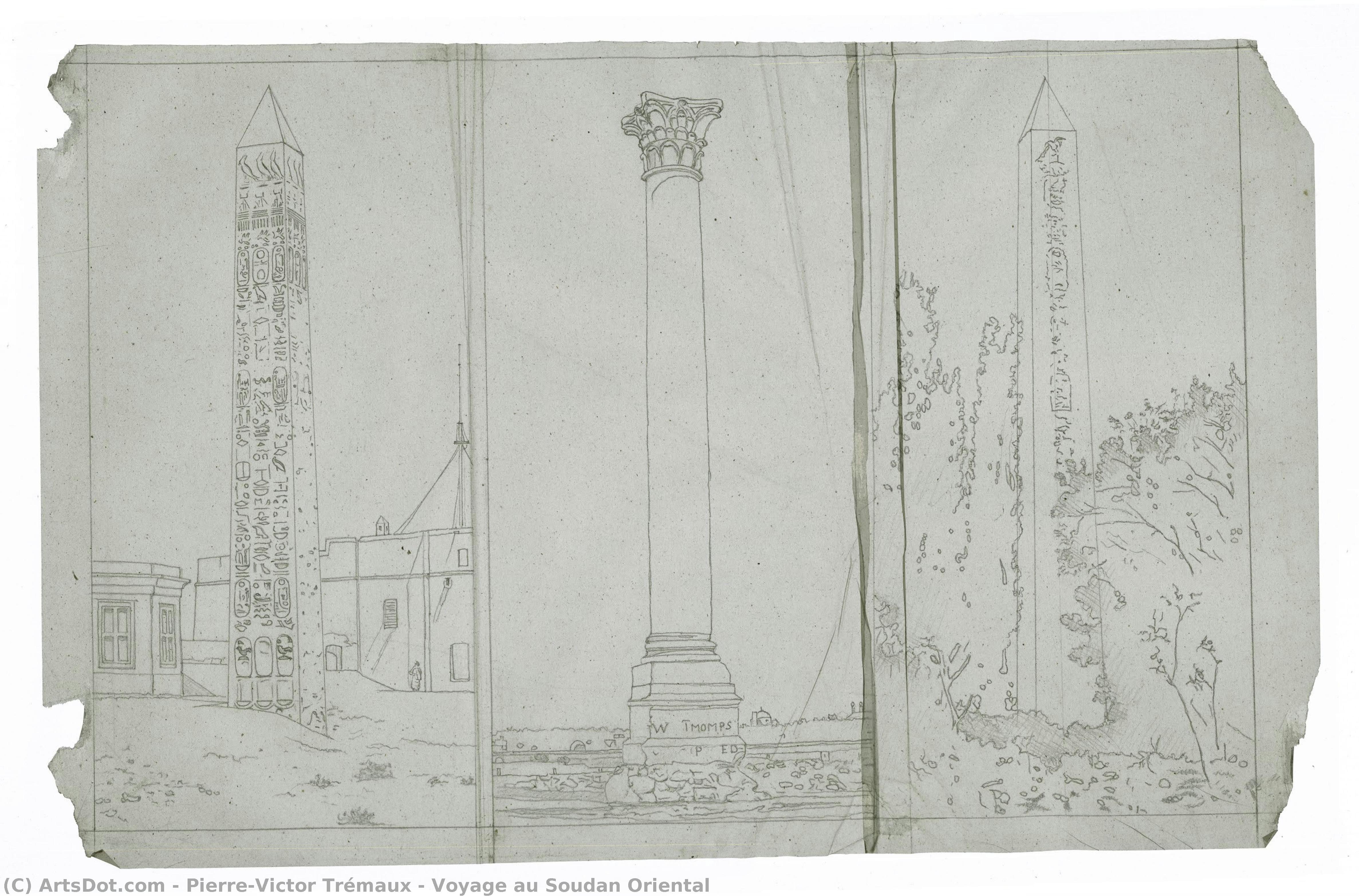 Voyage Au Soudan Oriental — Pierre-victor Trémaux