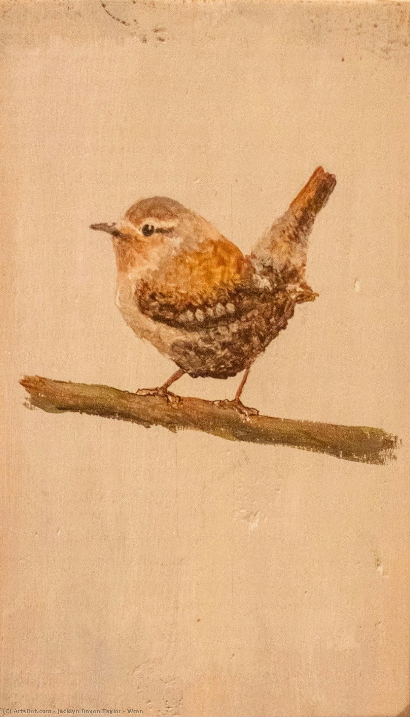 Wren — Jacklyn Devon Taylor