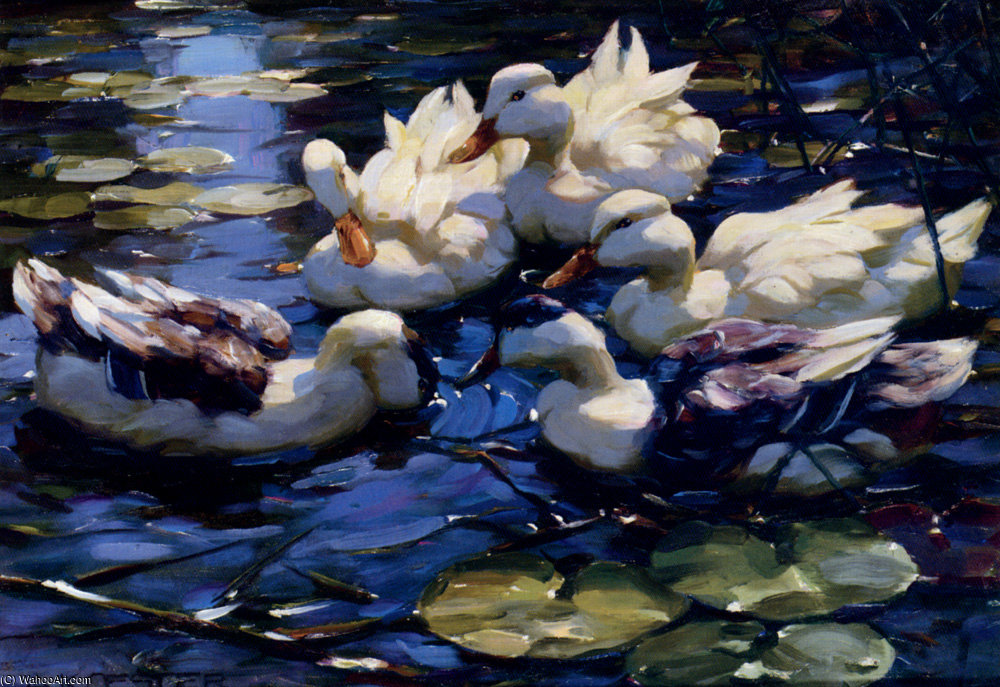 Koester Alexander Five Ducks In A Pond — Vilem Kokeuk