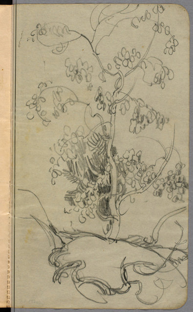 Tree Study — Артур Лисмер