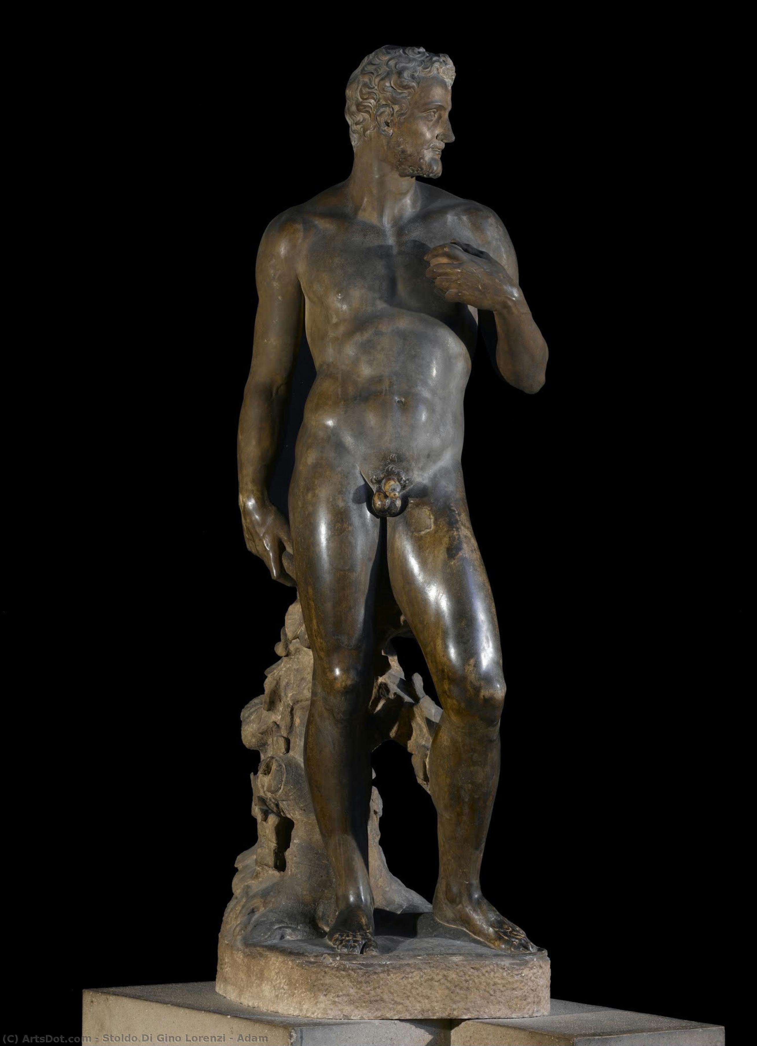 Adam — Stoldo Di Gino Lorenzi