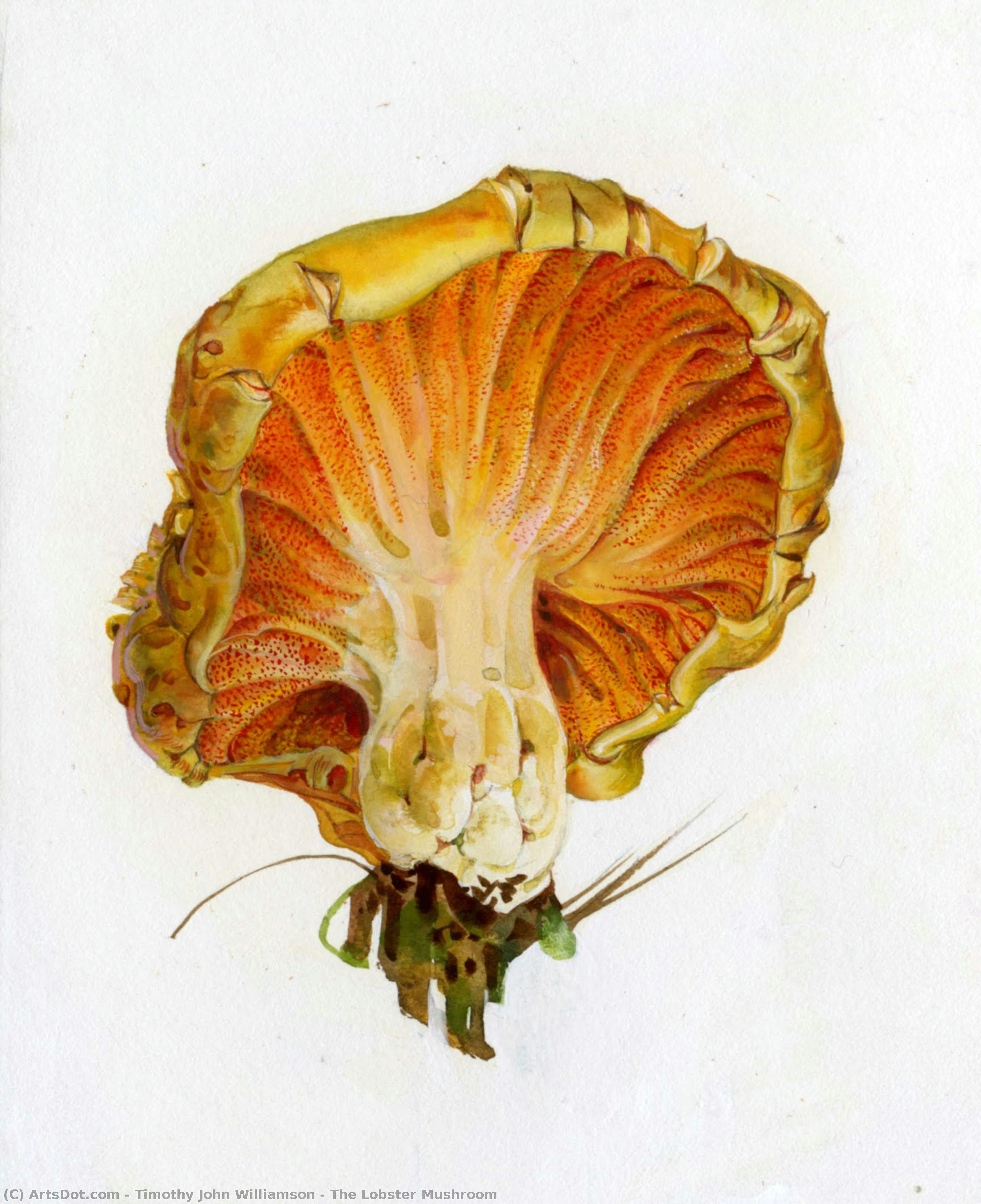The Lobster Mushroom — Тимофей Джон Уильямсон