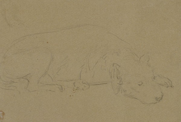 Edwin Landseer's Dog, Brutus Jnr. — John Frederick Lewis