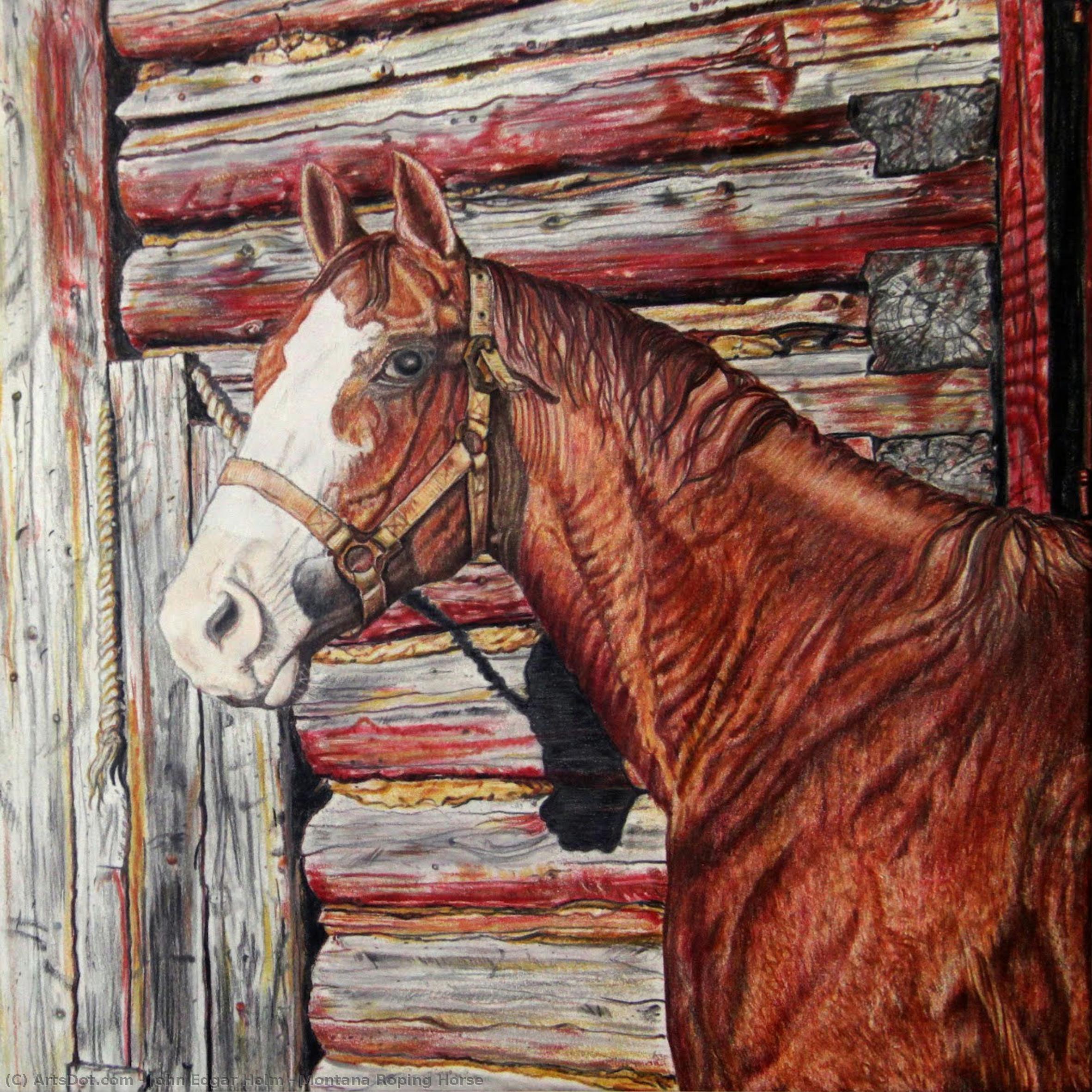 Montana Roping Horse — John Edgar Holm