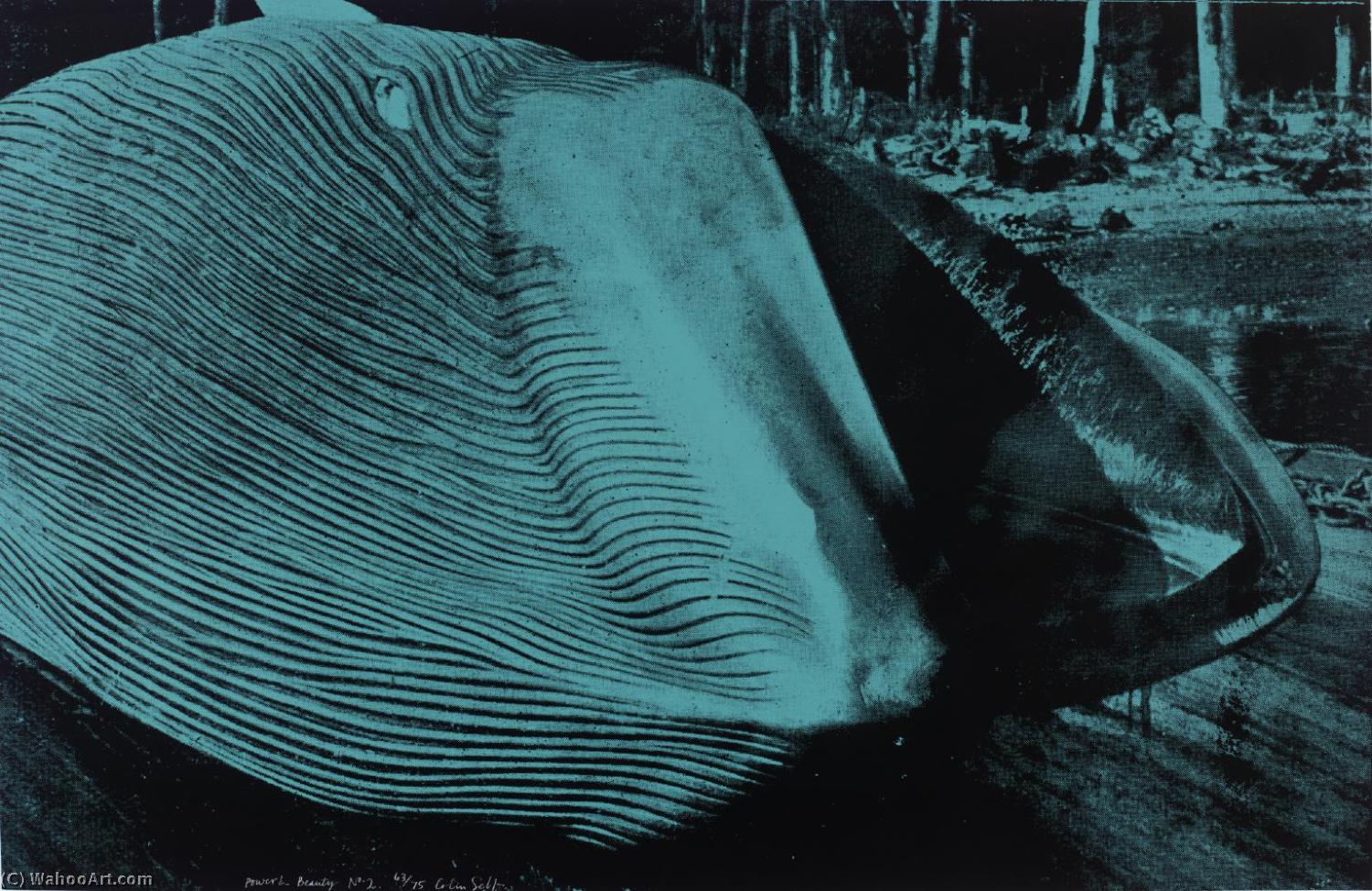 Power And Beauty No. - (2) — Colin Self