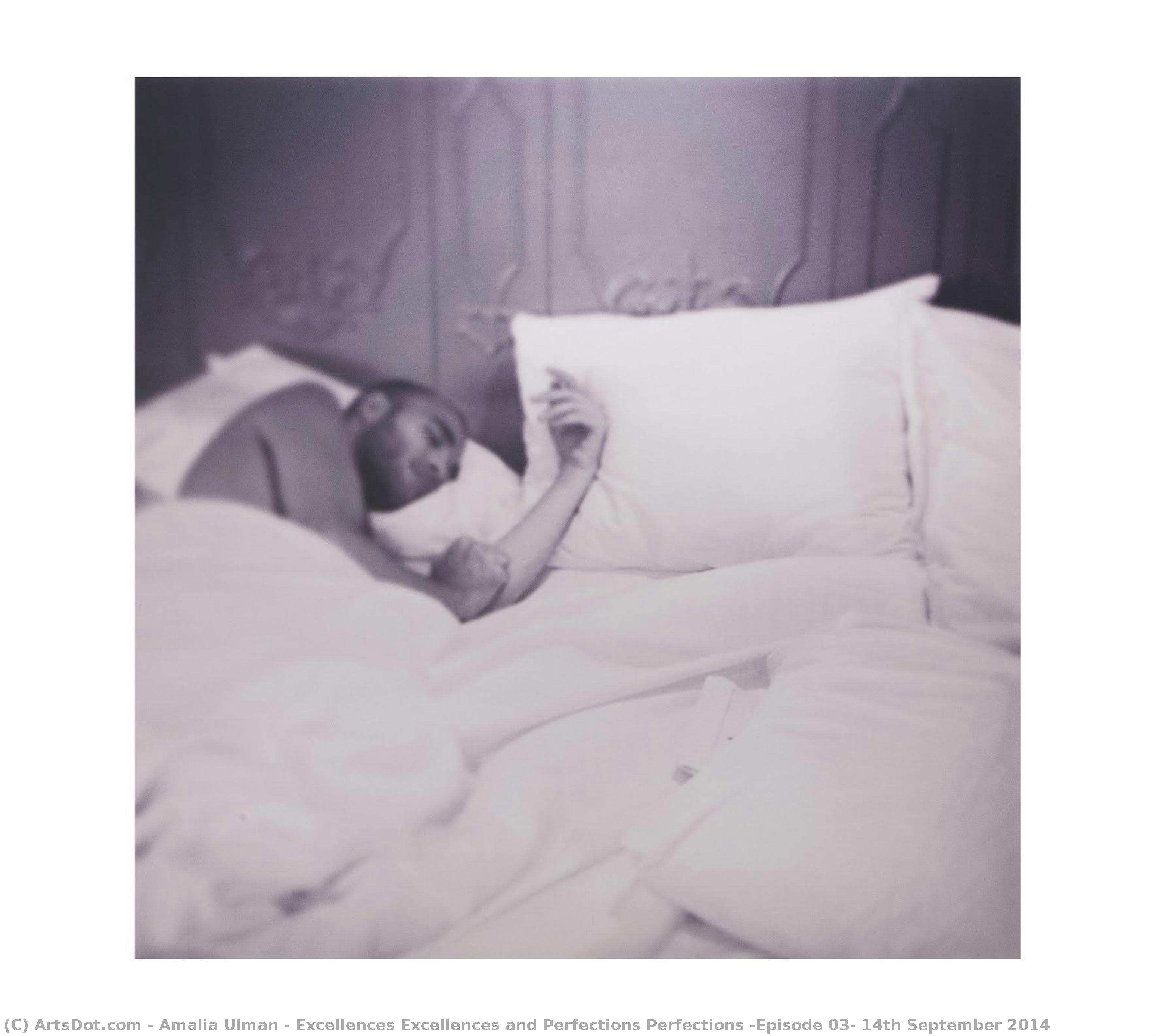 Excellences Excellences And Perfections Perfections (episode 03) 14th September 2014 — Amalia Ulman