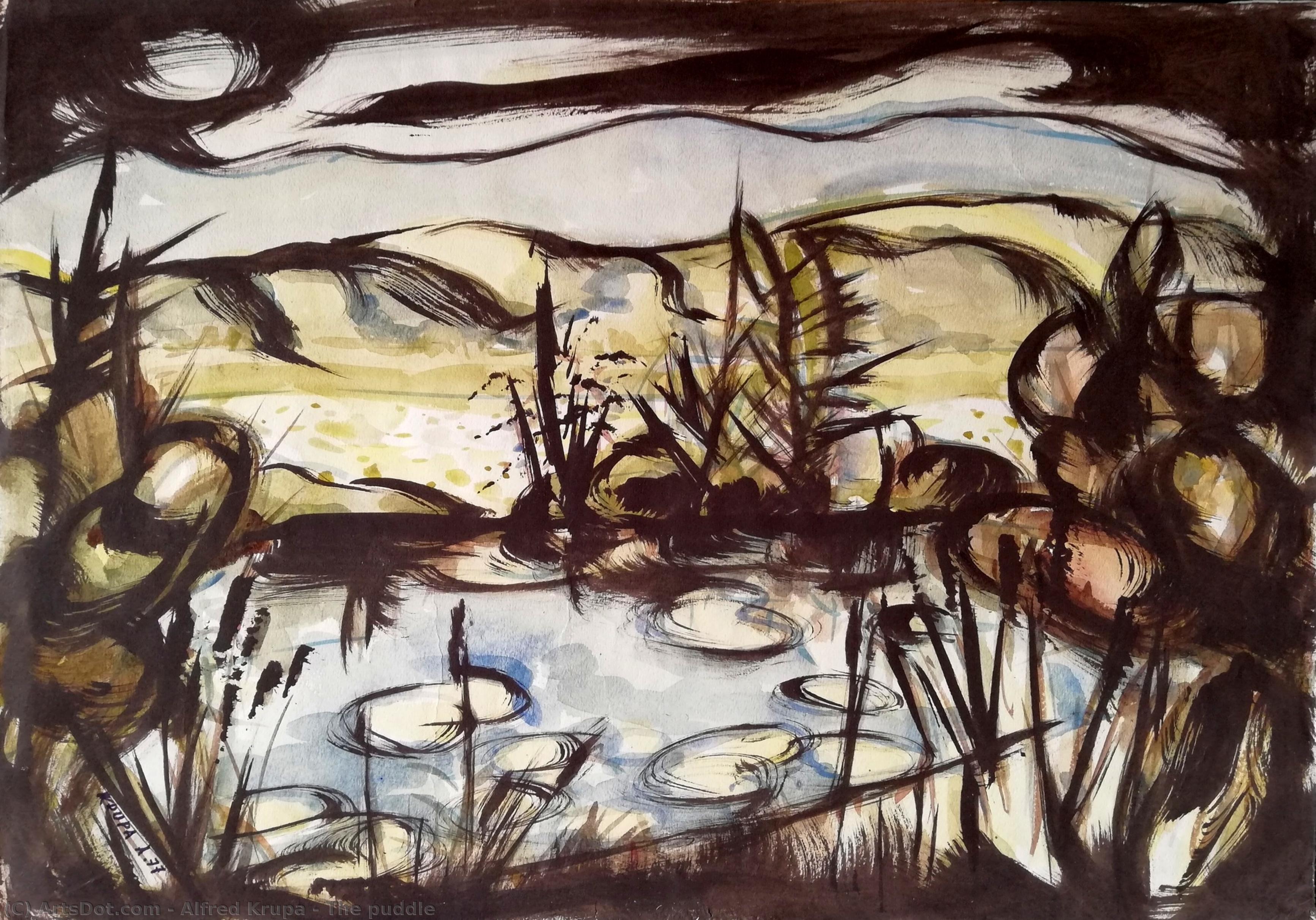 The Puddle — Alfred Joseph Krūppa