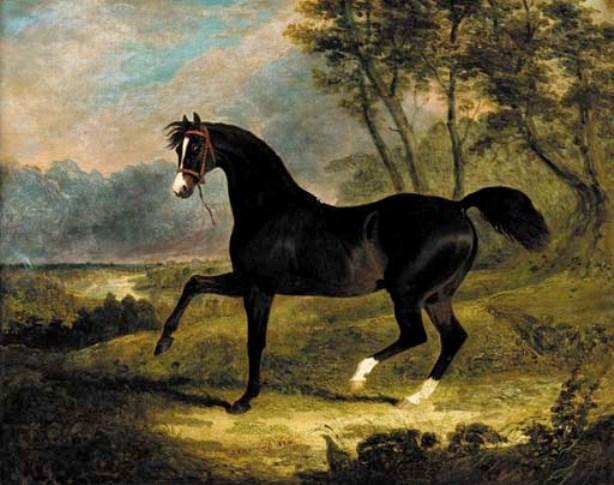 Camel, A Dark Bay Racehorse In A Landscape — ジョン・フレデリック・ヘリング・シニア