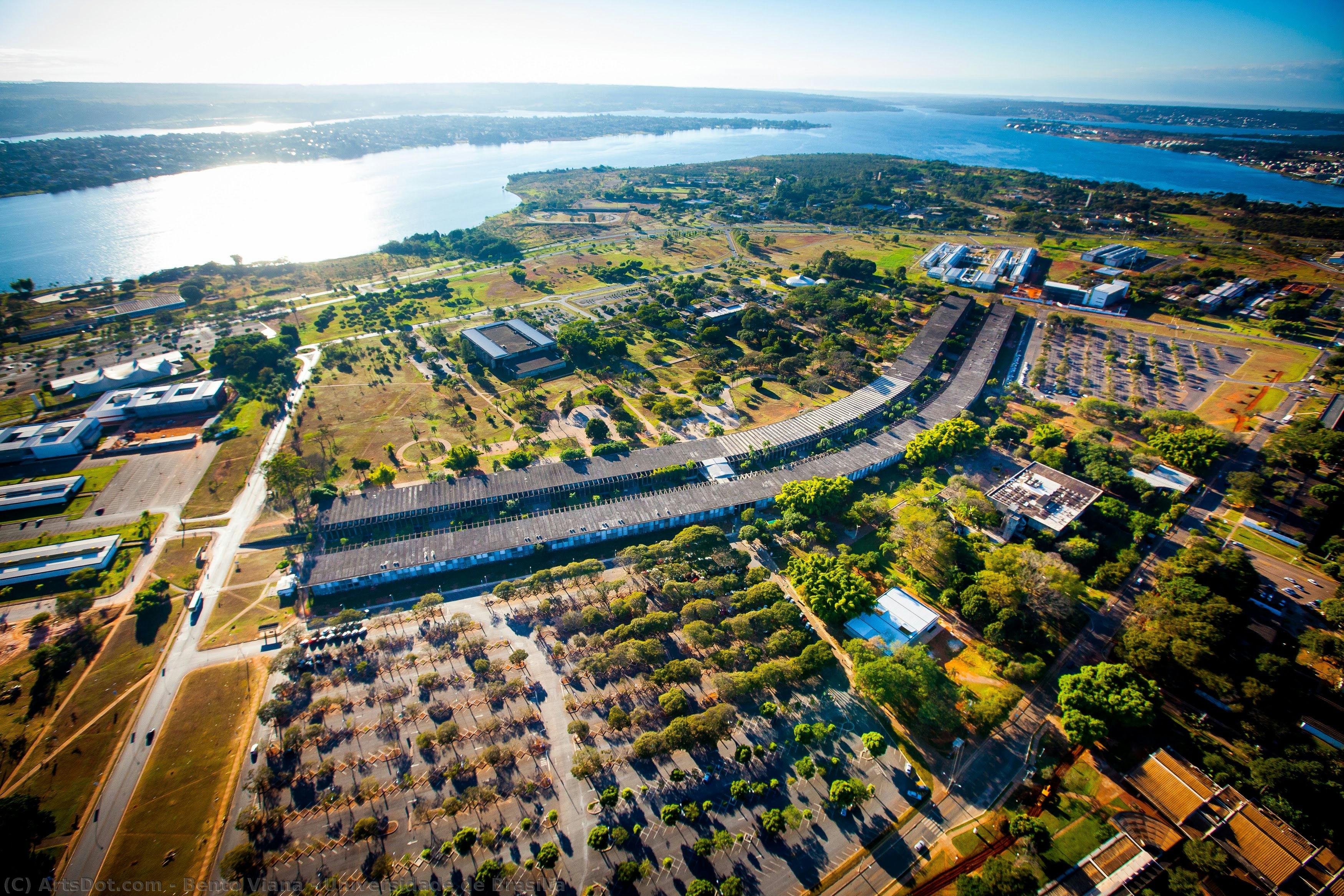 Universidade De Brasília — Bento Viana