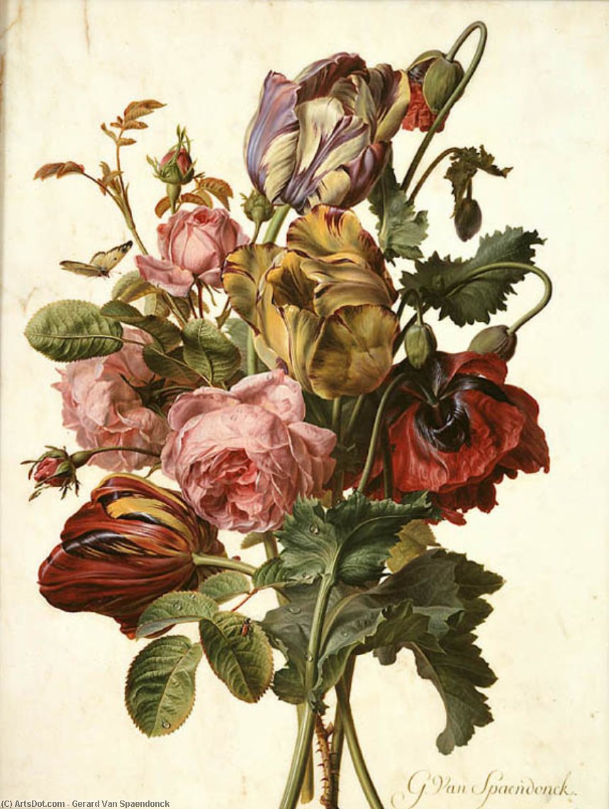 Bouquet — Gerard Van Spaendonck