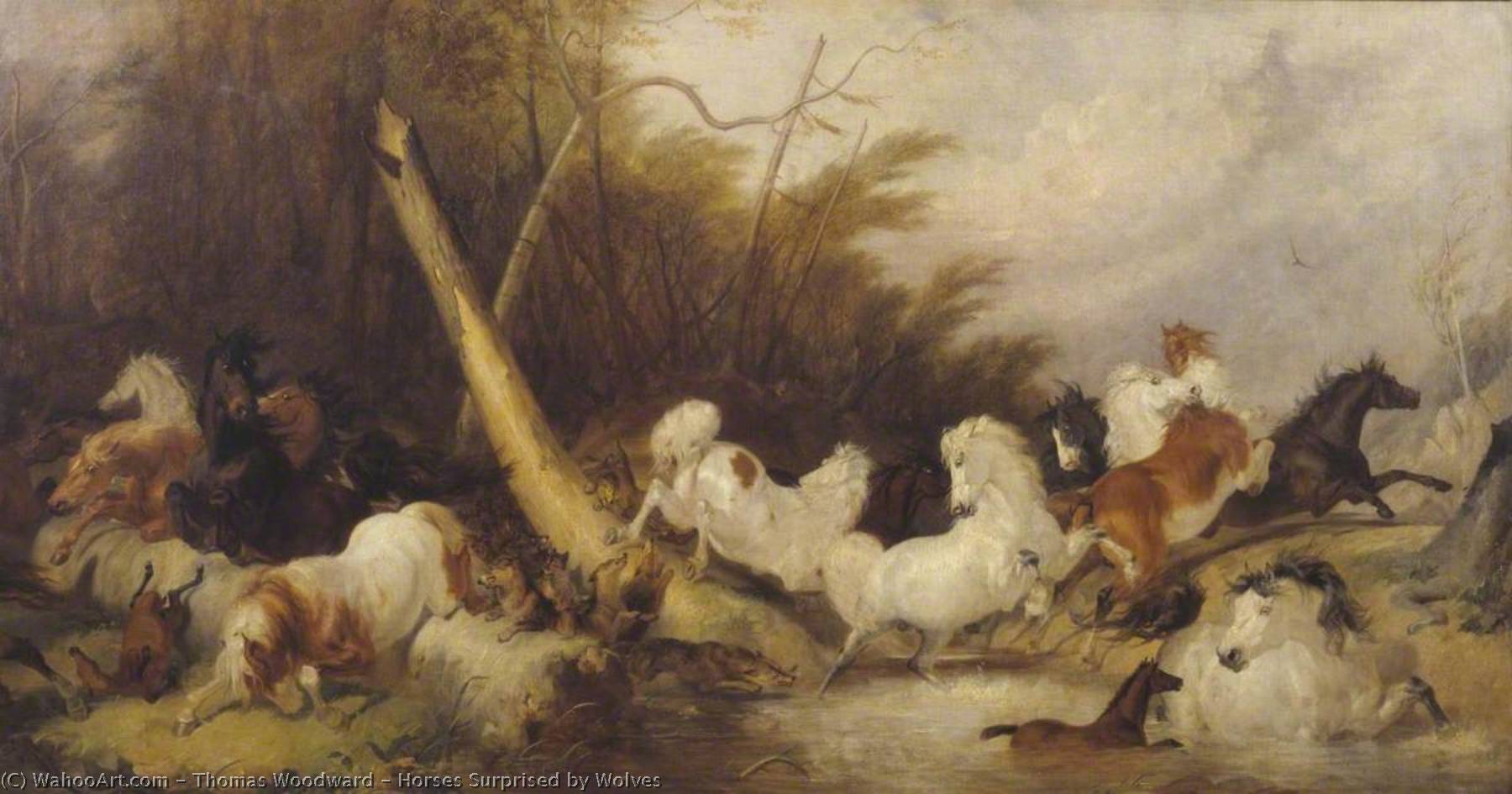 Horses Surprised By Wolves — Thomas Woodward