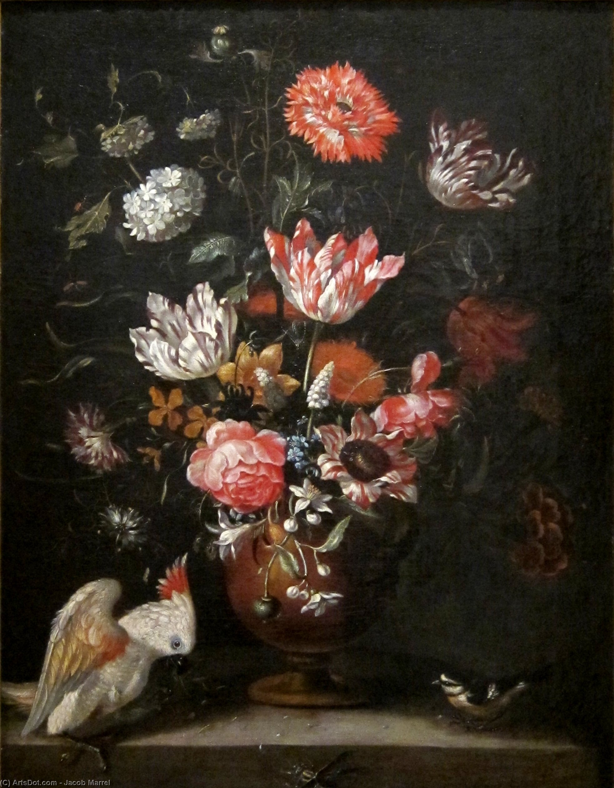 Flowers, Parrot And Tit — Jacob Marrel