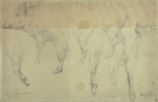 Seven Studies Of Female Wild Boar — Rosa Bonheur